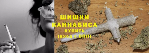 гидра Белокуриха