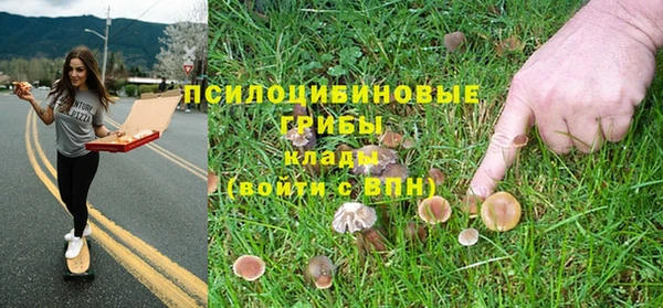 гидра Белокуриха