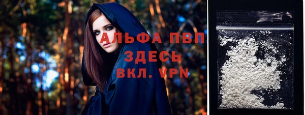 гидра Белокуриха